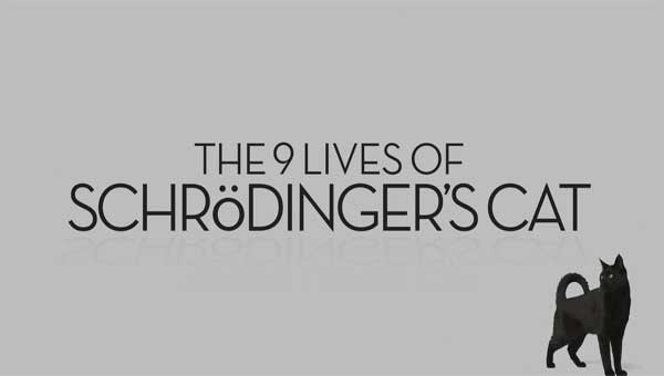 Nine Lives of Schrodingers Cat